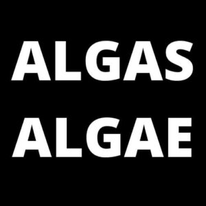 Algas/Algae