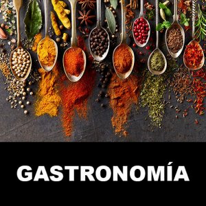 Libros Gastronomía/Cookbooks