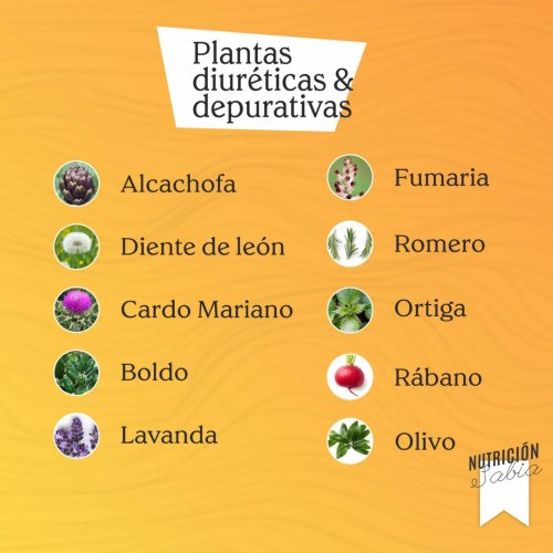 plantas diurticas y depurativas savia-Max-Quality