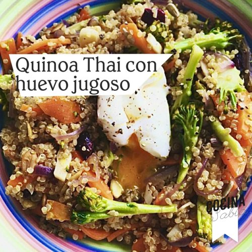 quinoa thai savia-Max-Quality