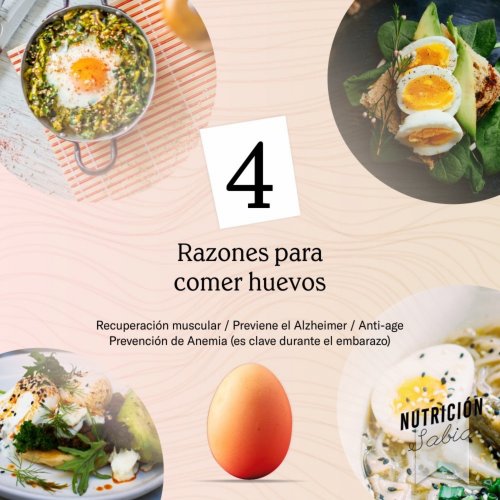 razones para comer huevo SABIA-Max-Quality